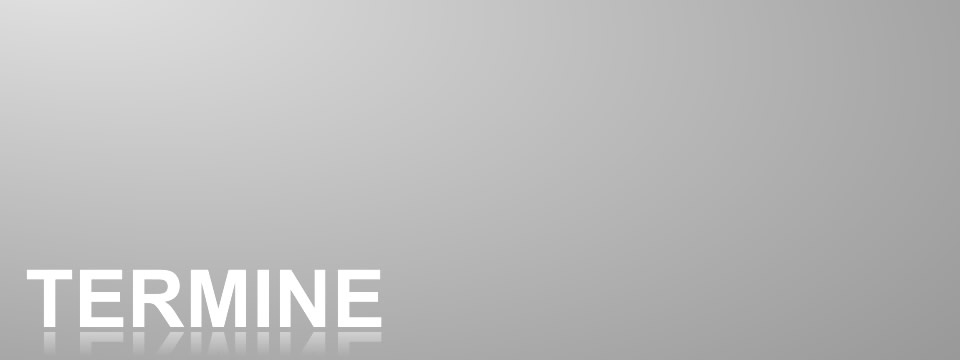 WingTsun Unterricht in Fürth